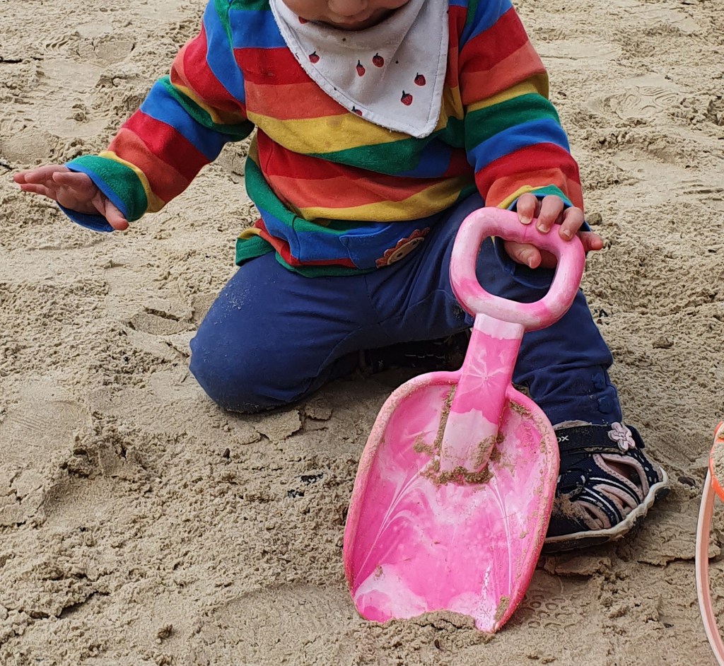 Toddler in the sand holding a large pink plastic shovel